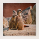 Recherche de meerkat puzzles Nature