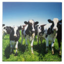 Recherche de vue face carreaux Dehors