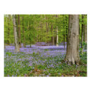Suche nach blaue hyazinthen poster Europa