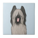 Recherche de caricatures carreaux Drôle