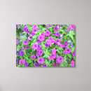 Recherche de pétunia art Floral