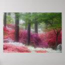 Suche nach azaleen poster Bunt