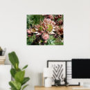Suche nach hennen poster Pflanze