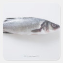 Recherche de créatures photographie Animaux