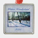 Recherche de wonderland ornements Hiver