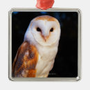 Recherche de hiboux ornements Hibou de grange