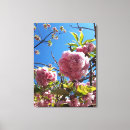 Suche nach kirschbaum leinwandbilder Blume