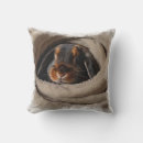 Recherche de conception de lapin coussins Lapins