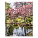 Suche nach rosa baum poster Botanisch