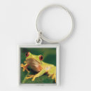 Recherche de photo de grenouille accessoires Animal