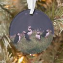 Suche nach puffins ornamente Atlantischer puffsack