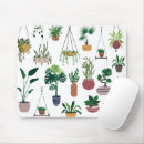 Recherche de plante tapis souris Plantes domestiques