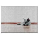 Recherche de chat gris planches à découper Animal