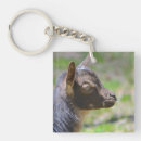 Recherche de chèvres porteclés Doux