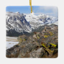 Recherche de ventre ornements Neige