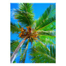 Recherche de empreinte arbre posters Palmier