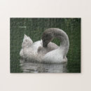 Recherche de swan puzzles Animaux