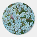 Recherche de minuscule photographie Nature