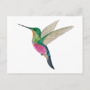 Recherche de colibri bleu cartes postales Nature
