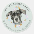 Recherche de portraits de chien Mignon