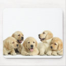 Suche nach wurf mousepads Welpen