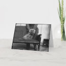 Recherche de gatos vœux cartes Conversation