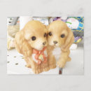 Recherche de duo cartes postales Chien