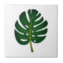 Recherche de palmier carreaux Monstera