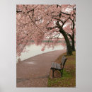 Recherche de banc parc posters Fleurs