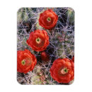 Recherche de cup refrigérateur magnets Floraison