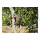 Recherche de piverts cartes postales Animal