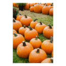 Recherche de en citrouille posters Nourriture