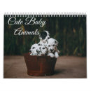 Suche nach vieh kalender Tiere