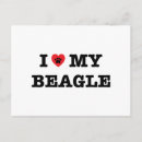Suche nach beagles postkarten Für haustiere