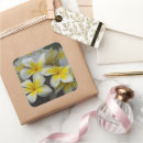 Recherche de plumes blanches autocollants Floral