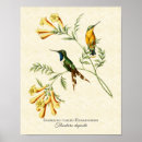 Recherche de vintage botanical posters Nature