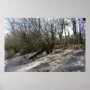 Suche nach flussufer poster Baum