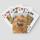 Recherche de spitz jeux de cartes Plomb et pam langrish