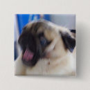 Suche nach aufgeregt buttons Hund