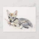 Suche nach große ohren postkarten Wolf