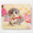 Recherche de comportement tapis souris Regarder l'appareil photo
