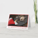 Suche nach kaliko karten Lustig