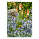 Recherche de épineux vœux cartes Jardin