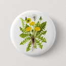 Suche nach löwenzahn buttons Unkraut