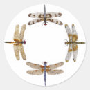 Recherche de ailes de libellule autocollants Nature