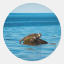 Recherche de aquatiques autocollants Animal