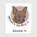 Suche nach lustige chihuahua aufkleber Hund