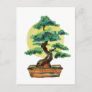 Recherche de bonsai tree cartes postales Plante