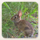 Suche nach bunny untersetzer Kaninchen