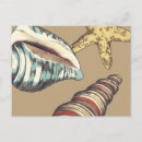 Recherche de étoile mer cartes postales Nature